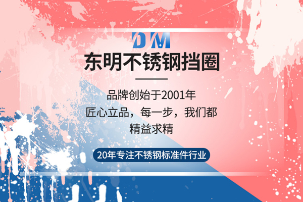 东明不锈钢挡圈